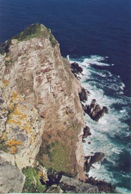 Cape Point